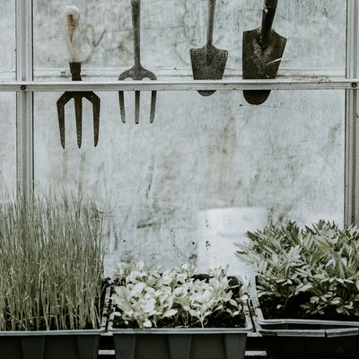 Handheld garden tools hanging on a rack