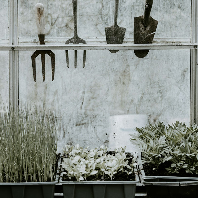Handheld garden tools hanging on a rack