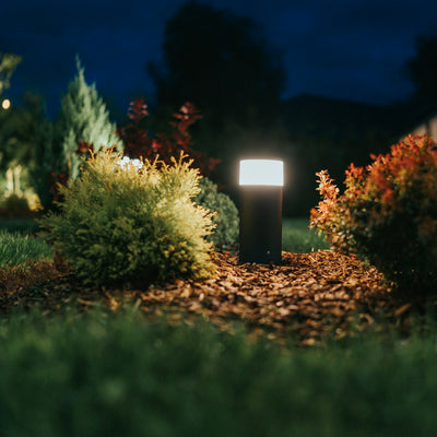 Low garden lights set among planted beds after dark