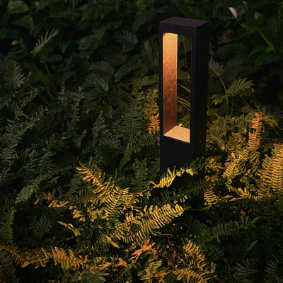 Garden path light illuminating foliage at night