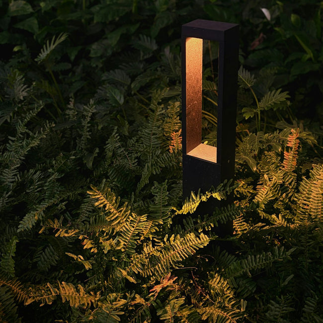 Garden path light illuminating foliage at night